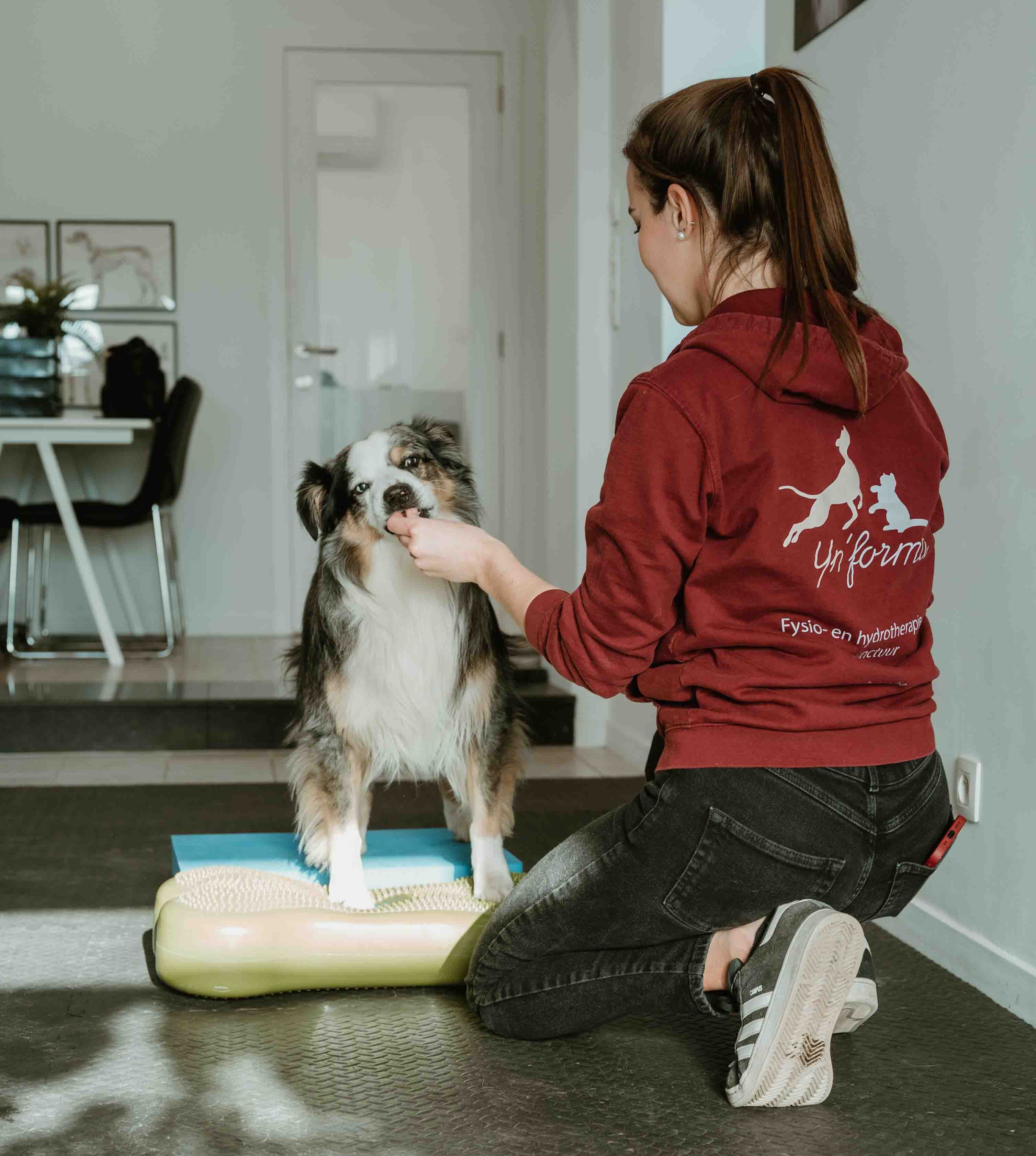 Yne doet fysio-oefeningen met een hond.